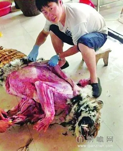 活剥老虎皮照引网友愤怒称惨绝人寰必须人肉