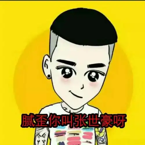 张世豪属实. 来自 转转