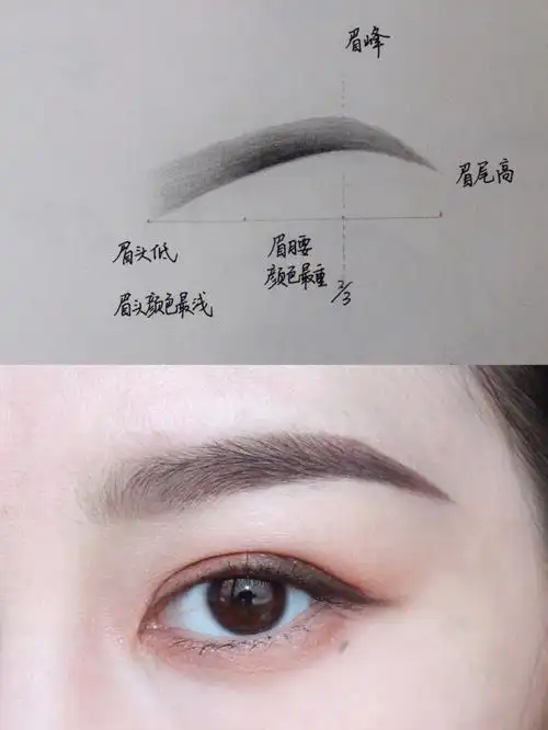 新手必学的画眉教程|一看就会!