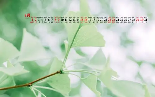 2020年8月绿色清新护眼桌面日历壁纸