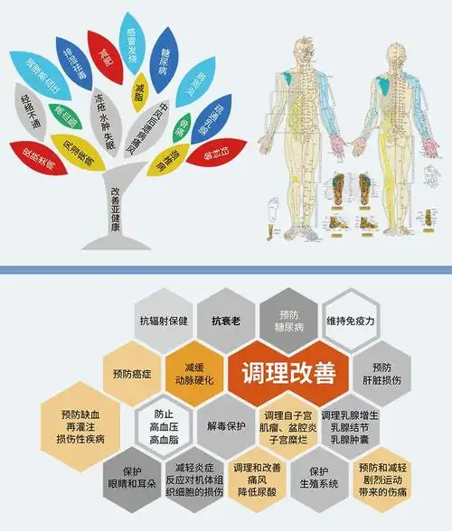 熵减热疗仪从无序到有序改善亚健康