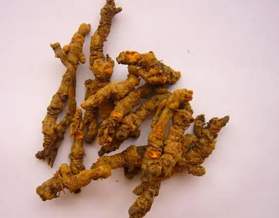 黄连解毒汤_中医中药大全