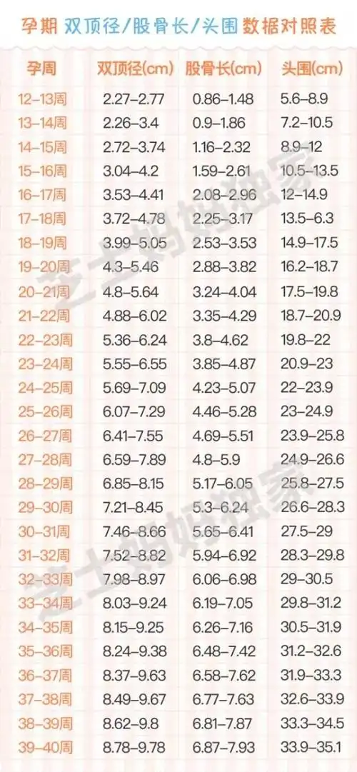 双顶径偏小,不排除目前孕周不准或b超测量存在的误差所致