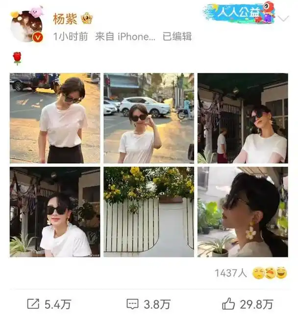 杨紫晒泰国游玩库存照,白t恤黑裤大秀好身材,傲人上围抢镜