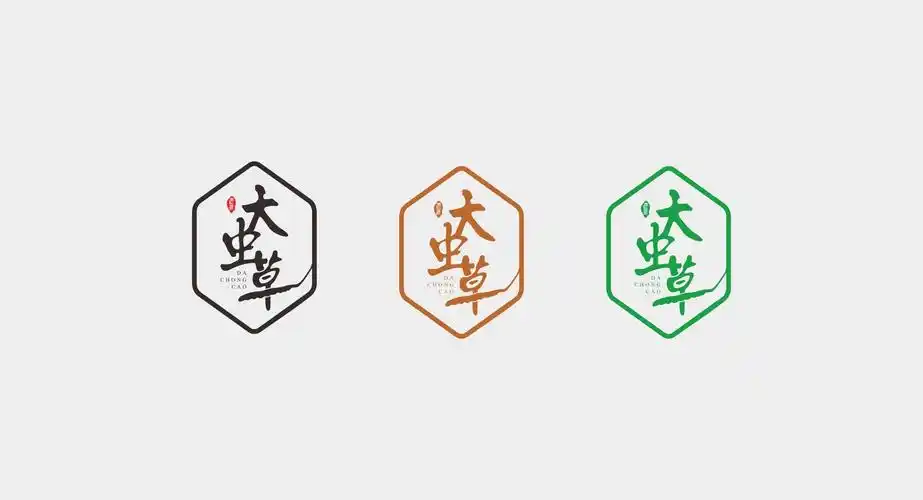 高端补品药材品牌丨大虫草logo设计