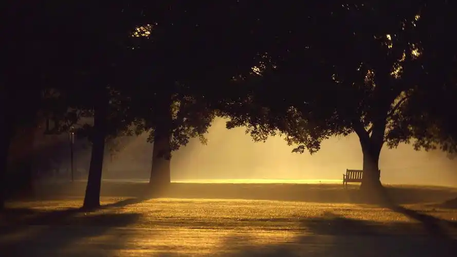 唯美孤独伤感桌面壁纸高清大图预览1920x1080_风景壁纸下载_美桌网