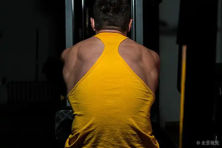 男性_健身_弯曲_背影_高清图片_全景视觉