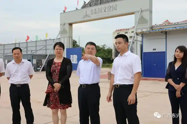 自治区党委宣传部调研组到东兴市调研