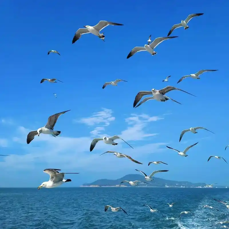 提升运势的能量头像,风景头像带来好运气,治愈系风景,磁场能量