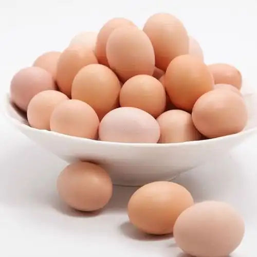 建军养殖场供应农家土鸡蛋