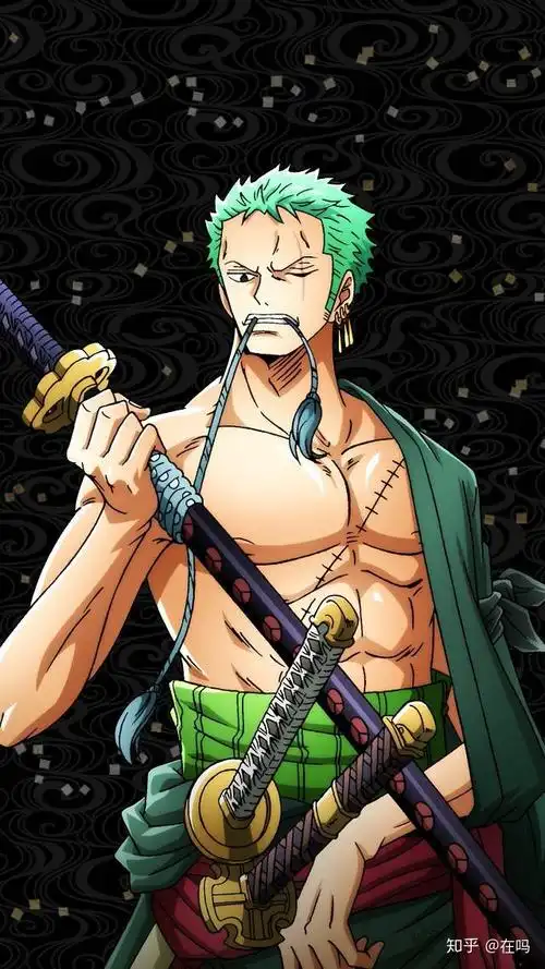 有没有索隆的全面屏壁纸