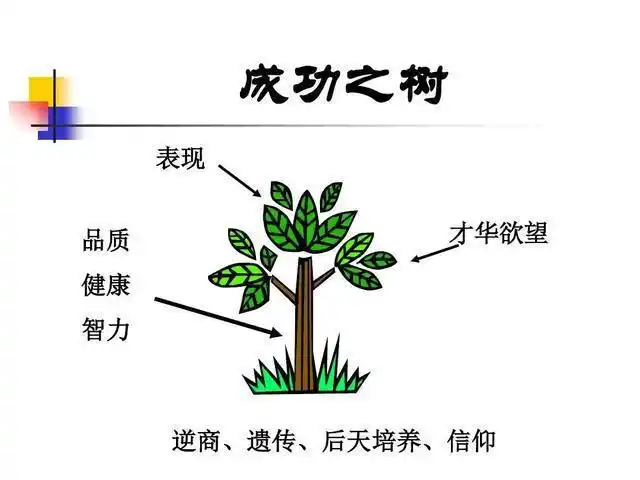 成功之树,十年树木,百年树人.