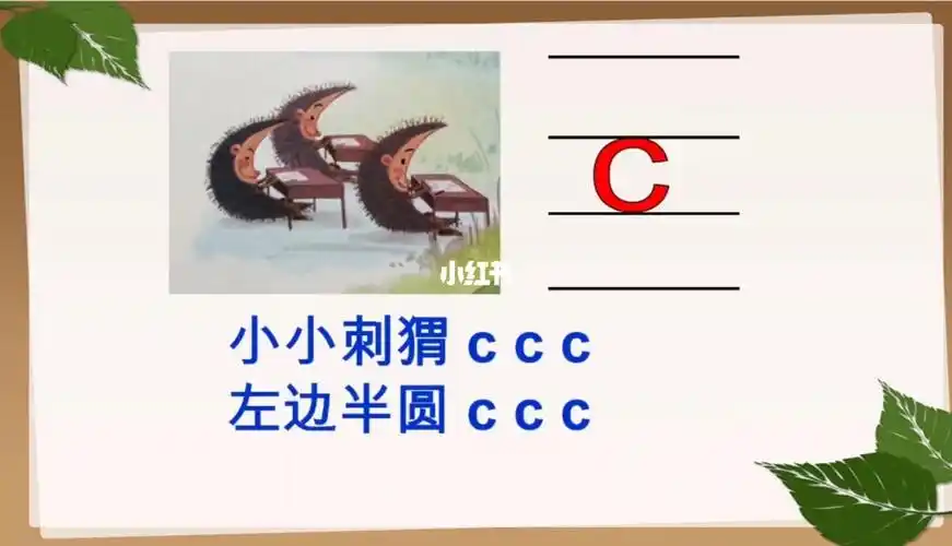 我要学拼音宝宝c啦幼小衔接初步学习