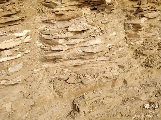 这岩层里竟然没化石