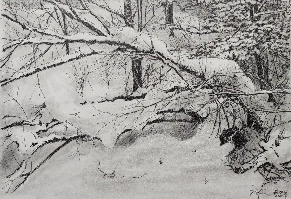我的钢笔画 雪