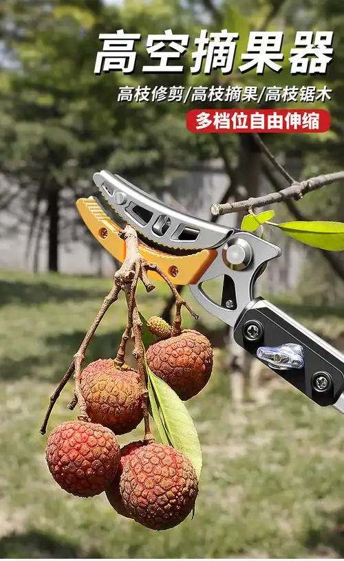 摘果器樱桃枇杷水果树枝果树剪刀伸缩高空剪摘果神器高枝剪摘果剪旗舰