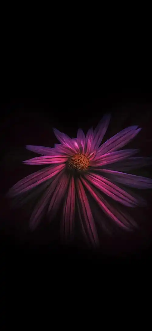 iphone壁纸分享深色模式绝配