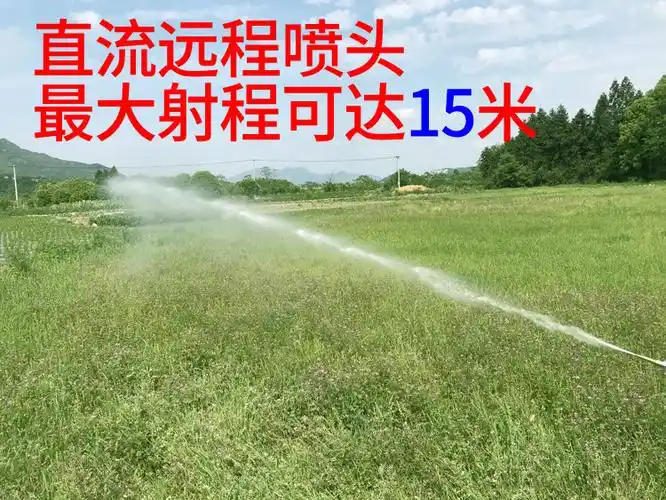 农用喷雾器电动果树打药全铜l喷头打药喷雾器现售产品