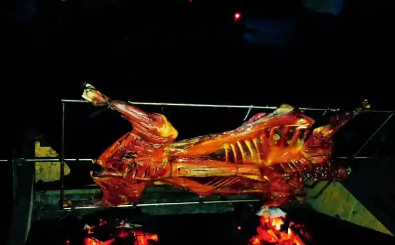 篝火|石牛|烤全羊_新浪新闻