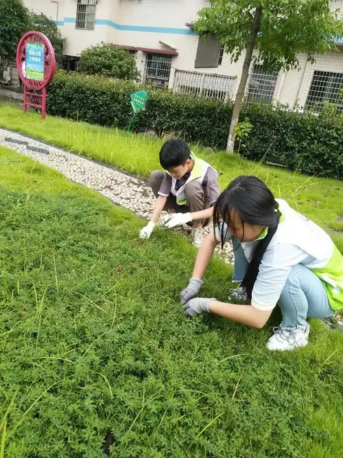 暑假社会实践活动,社区来了一支"小小拔草队"