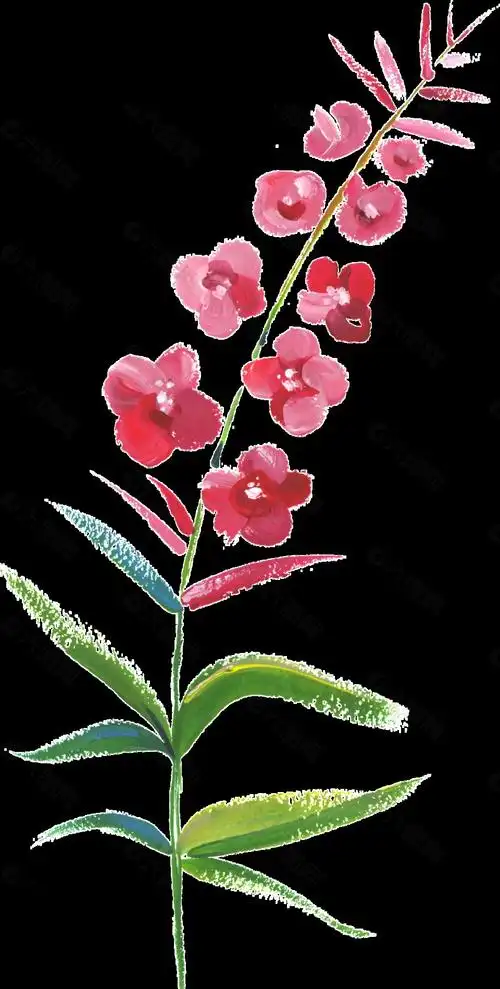 植物桃花透明素材设计元素素材免费下载(图片编号:9039364)-六图网