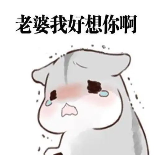 想老公表情包 - zx图片网,一个充满欢乐的表情包图片乐园