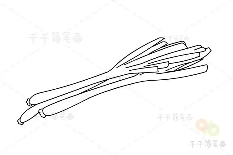 葱简笔画画法