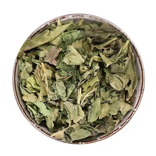 桑叶包邮新鲜晒干纯天然500g正品特级中药材其他药食同源食品