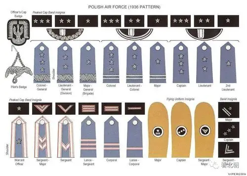 看了你就知道抗日神剧为啥不靠谱!二战各国军衔标识纵览