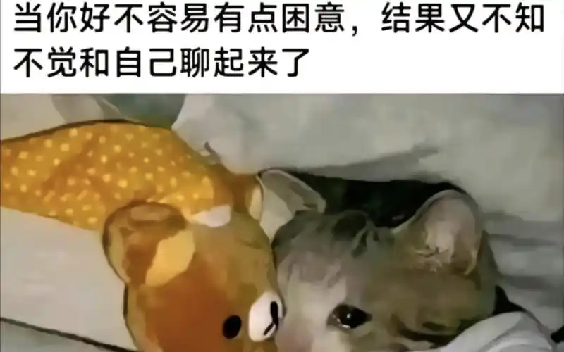 【沙雕梗图】人间真实系列(314)