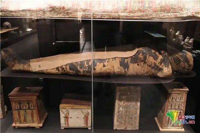 波兰发现世界首具怀孕木乃伊 腹中胎儿7个月