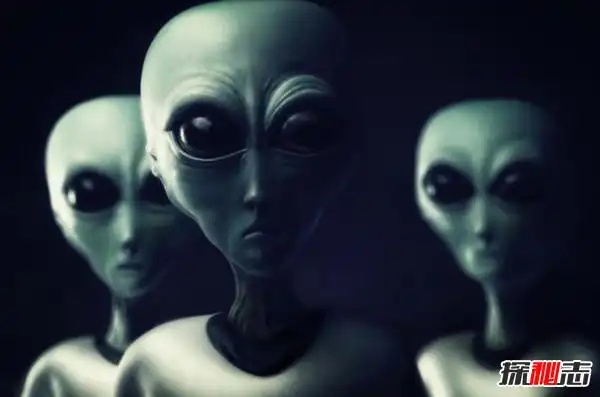 外星人长什么样子ufo事件十大真相揭秘附图