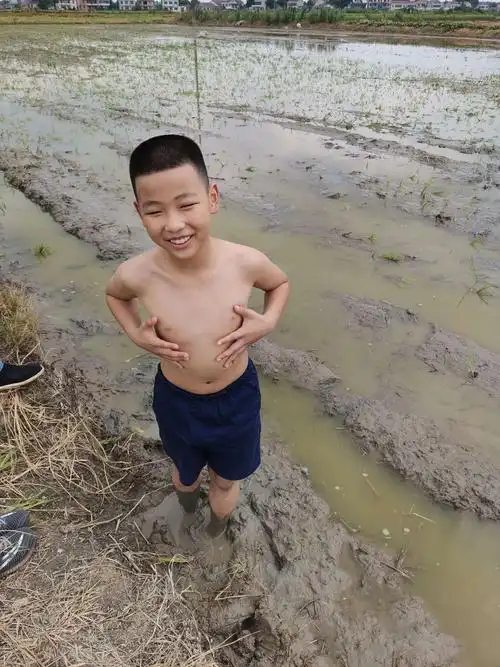 我是一个小农民