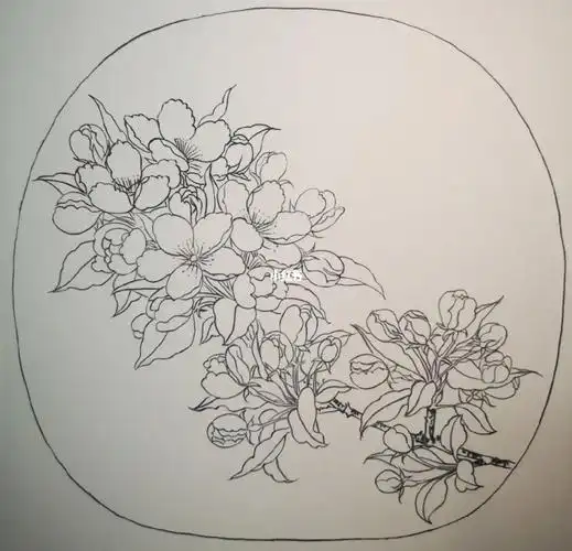 工笔画白描写生海棠图宋林椿