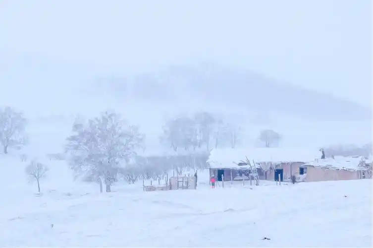 淡淡的薄雾,较为单一的色彩,高调拍摄,画面珑又不失层次.