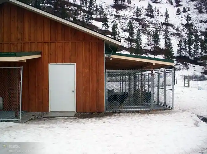 最美犬舍集合有建造犬舍的老铁可参考