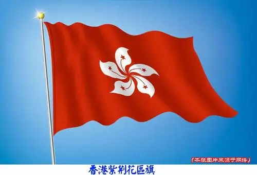 第一次听说紫荆是在香港回归的电视直播中,五星红旗和香港区旗的冉冉