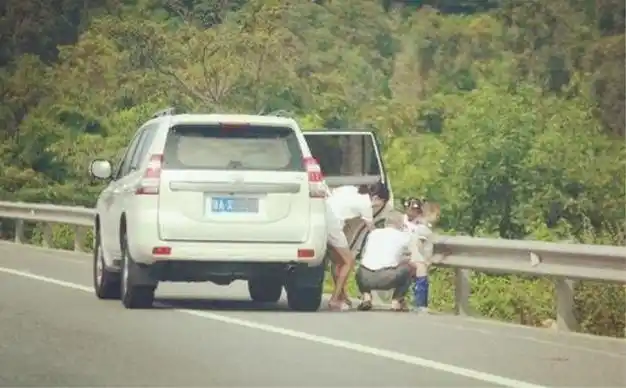 高速上他靠边停车小便没想到给了这样一个处罚