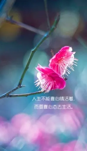 人生不能靠心情活着.而要靠心态去生活.