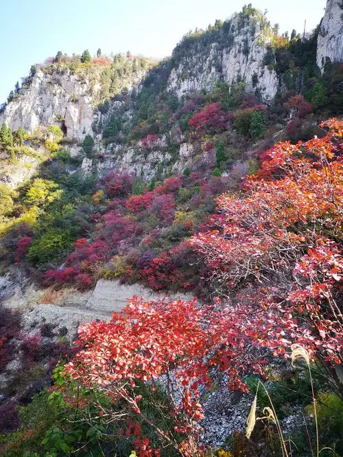 青州天赐山休闲一日游