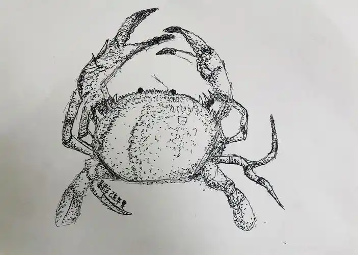 《螃蟹》课堂作品展