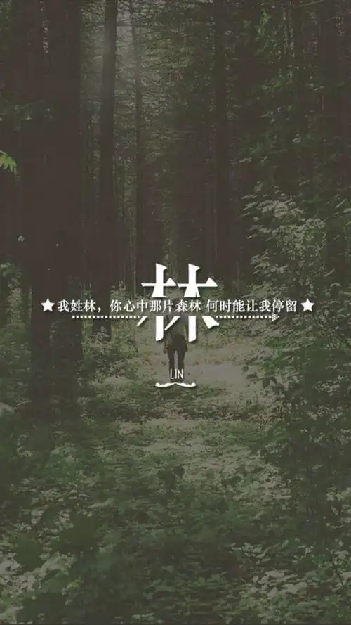 (by拖沓囍天王)姓氏壁纸-我姓林