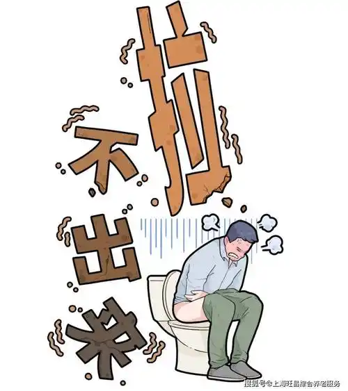 让你畅快拉屎的秘密,快来看!_肠道_厕所_激素