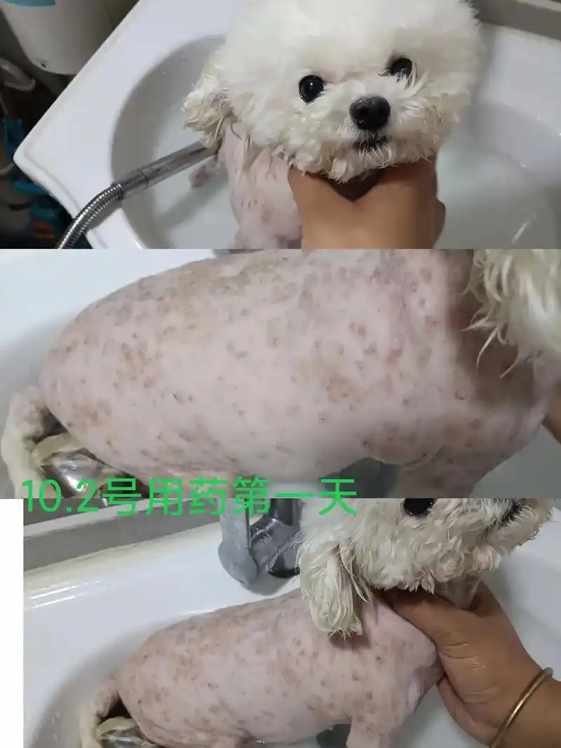 特别好用的皮肤病小神药就是这么牛