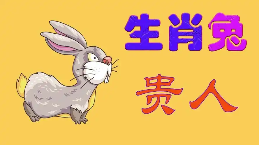 生肖属兔的人,如何找到自己的贵人?视频给你分析