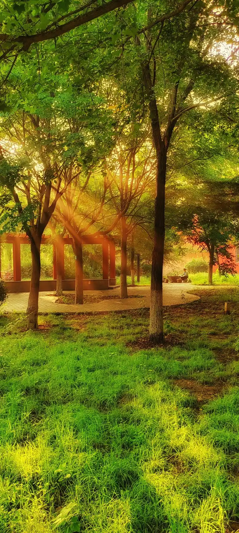 把你拍的最美的校园照片给大家看看吧!# - 抖音