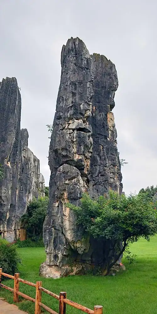 云南之旅(一)———石林