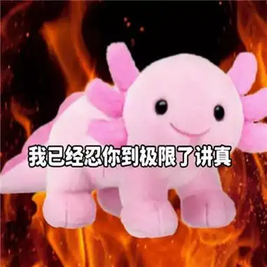 最新气人专用表情包合集