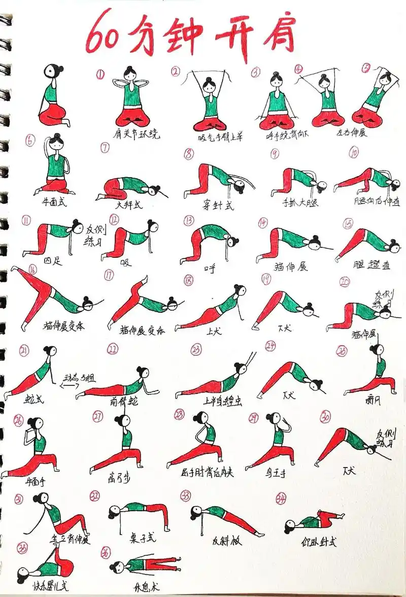 《开肩》类瑜伽排课.开肩,开胸,缓解肩颈问题,改善圆肩驼背, - 抖音