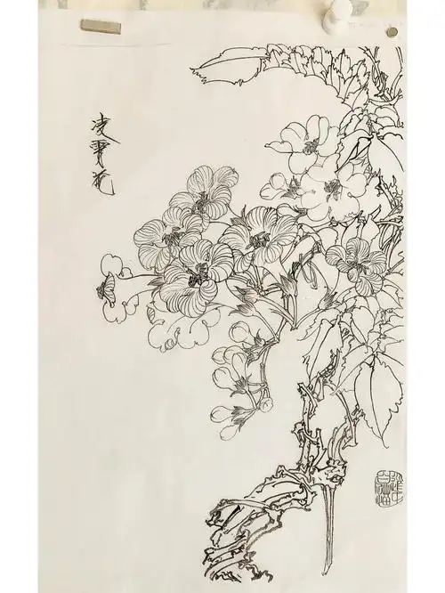 国画  #工笔画  #白描练习  #凌霄花开